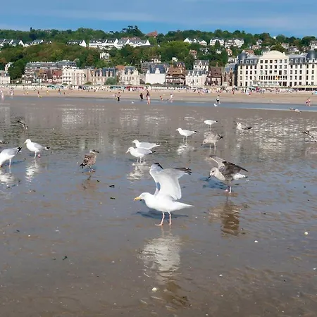 Le Saint-Pierre-3