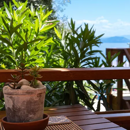 Antares Boutique Guesthouse-2