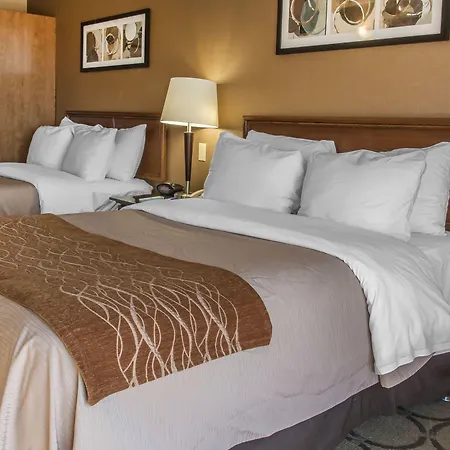 Comfort Inn-3