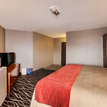 Spark By Hilton Oshawa-3