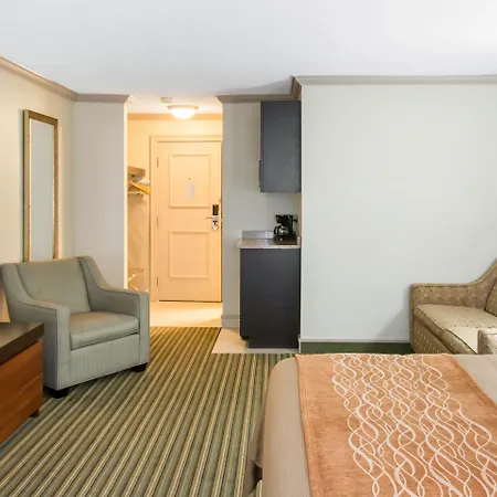 Comfort Inn Plainwell-3