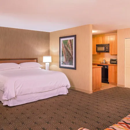 Sheraton Springfield Monarch Place Hotel-3