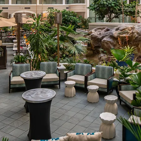 Sheraton Suites Fort Lauderdale At Cypress Creek-2