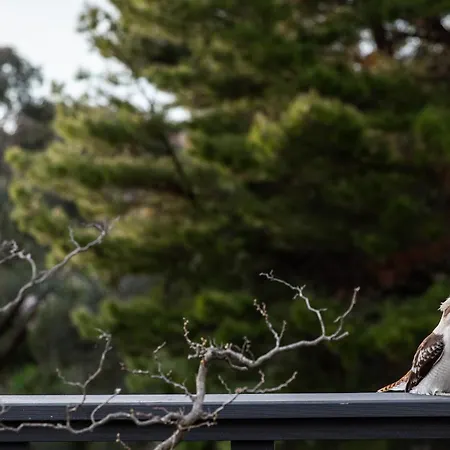 Shizuka Ryokan Japanese Country Spa & Wellness Retreat-3