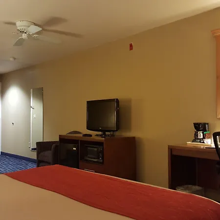 Comfort Inn & Suites Sequoia Kings Canyon-3