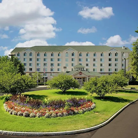 Hilton Garden Inn Albany Airport-3