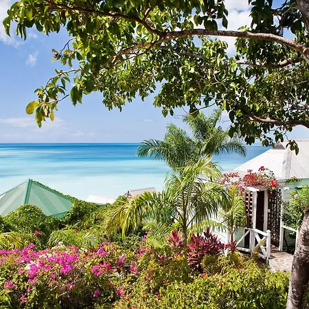 Cocos Hotel Antigua (Adults Only)-3
