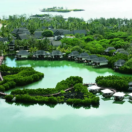 Constance Prince Maurice-3