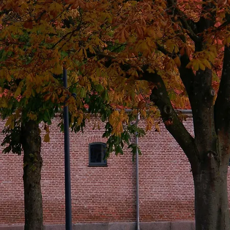Hindsgavl Slot-2