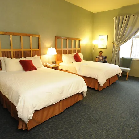 Dimond Center Hotel-2