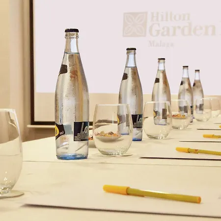 Hilton Garden Inn Malaga-2