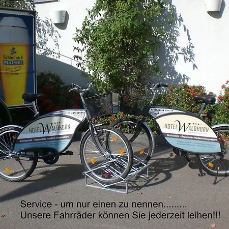 Hotel Waldhorn-2