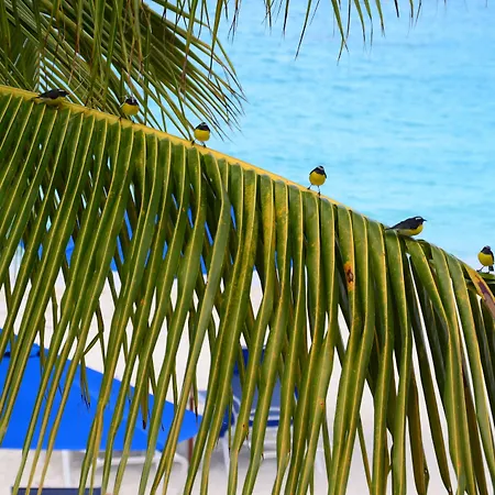 Shoal Bay Villas-2