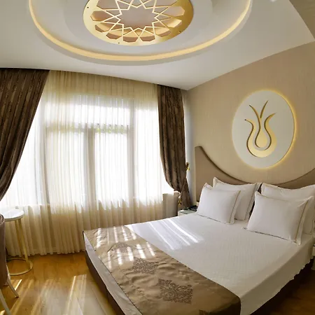 Arden City Hotel-Special Category-2