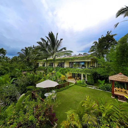Nandini Jungle By Hanging Gardens-2