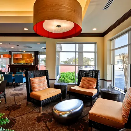 Hilton Garden Inn Tampa Northwest/Oldsmar-3