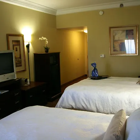 Hampton Inn Vidalia-3