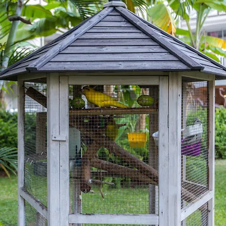 La Pagerie - Tropical Garden Hotel-2