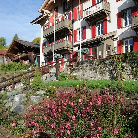 Historic Hotel Du Pillon-2