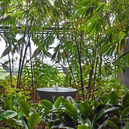 Crowne Plaza Changi Airport By Ihg-2