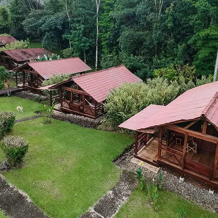 La Anita Rain Forest-3