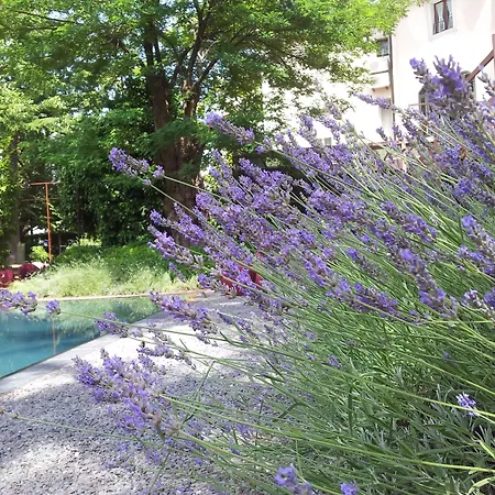 Hotel Clocchiatti Next-3