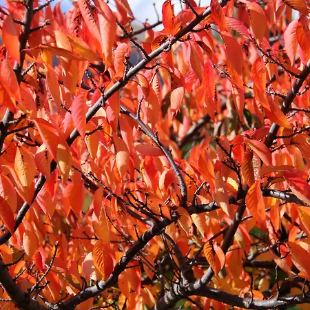 Arrowtown House Boutique Hotel-3