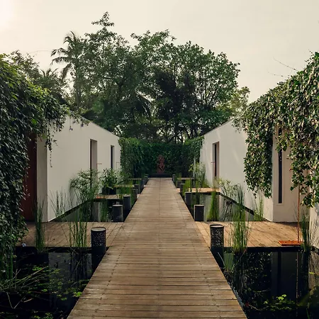 Alila Diwa Goa - A Hyatt Brand-3