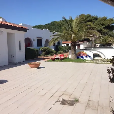 Estella Club-2