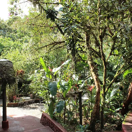Septimo Paraiso-3