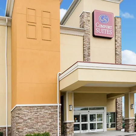 Comfort Suites Harvey - New Orleans West-2