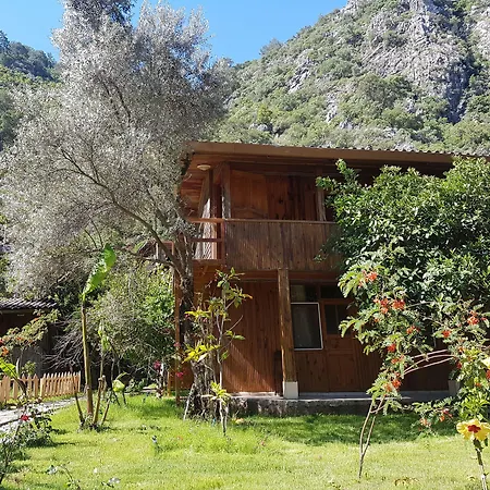 Turkmen Tree Houses-2