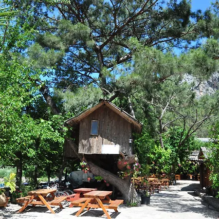 Turkmen Tree Houses-3