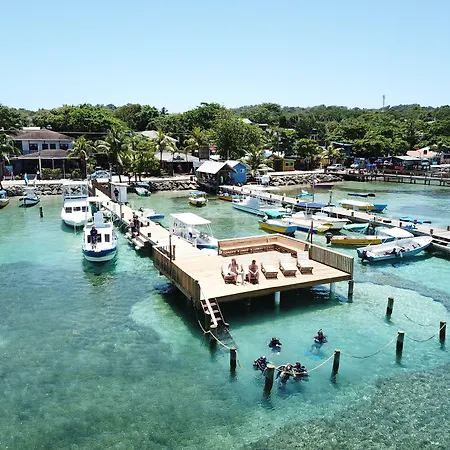 Splash Inn Dive Resort & Villas-3