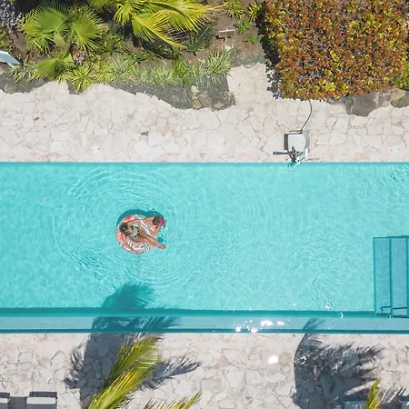 Dolphin Suites & Wellness Curacao-2