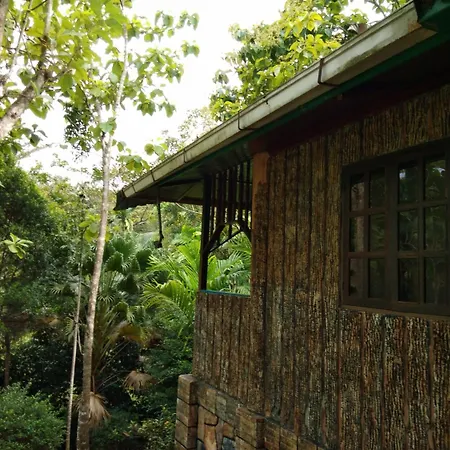Sepilok Jungle Resort-2