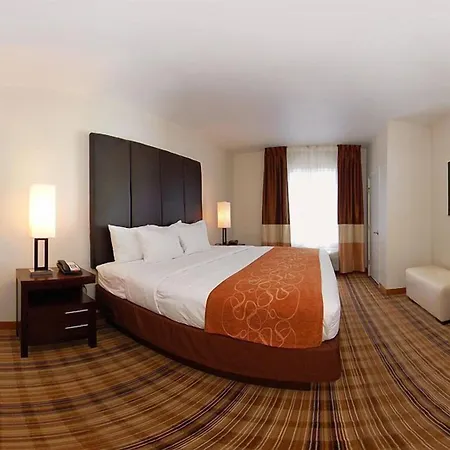Comfort Suites Mandeville - Covington-2