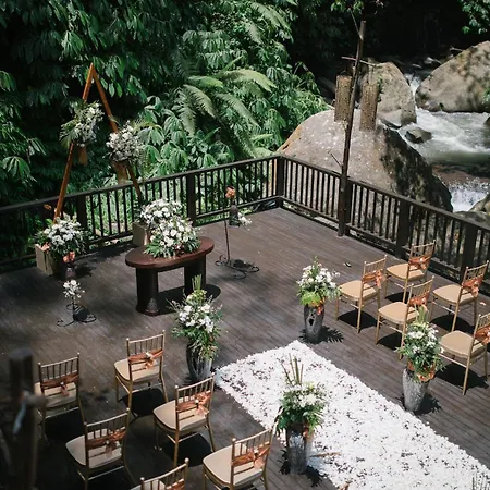 Nandini Jungle By Hanging Gardens-3