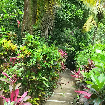 Hibiscus Valley Inn-2
