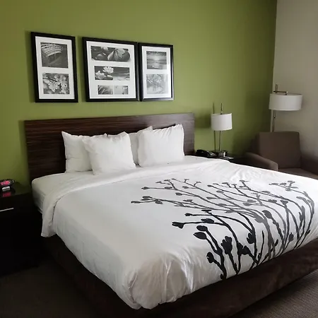Sleep Inn & Suites Gulfport-2