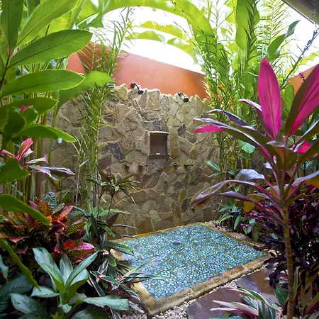 Nayara Springs - Adults Only-2