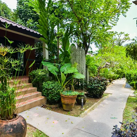 Cocoville Phuket - Sha Plus-3