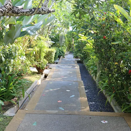 Cocoville Phuket - Sha Plus-3