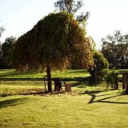 Lazy River Boutique Bed & Breakfast-3
