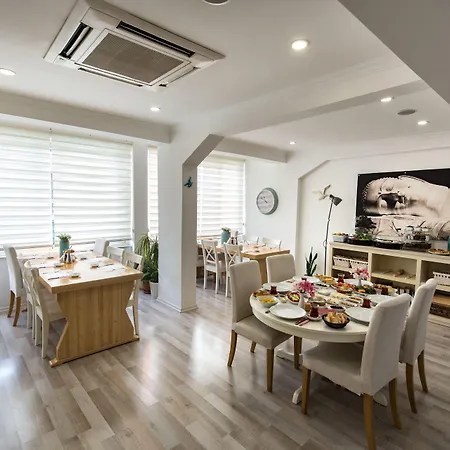 Minu Hotel-3