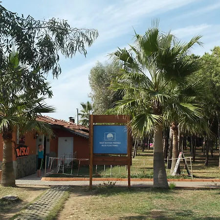 Club Turtas Beach-3