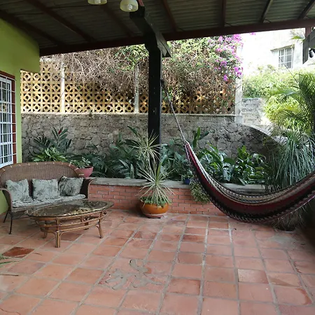 The Golden Frog Inn-3