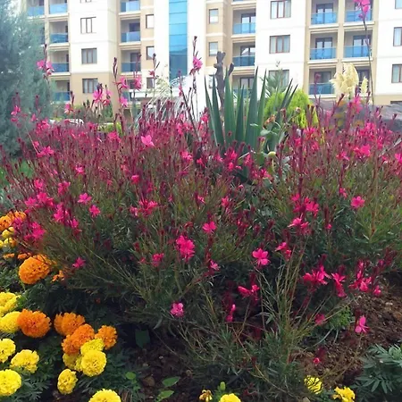 Grand Ozgul Thermal Holiday Village-2