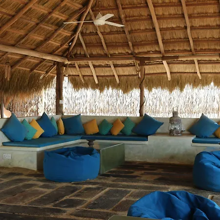 Dolphin Beach Resort - Dolphins, Kitesurfing & Wildlife-3