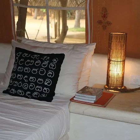 Dolphin Beach Resort-3